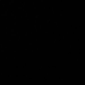 Meet your Posher, Kisha